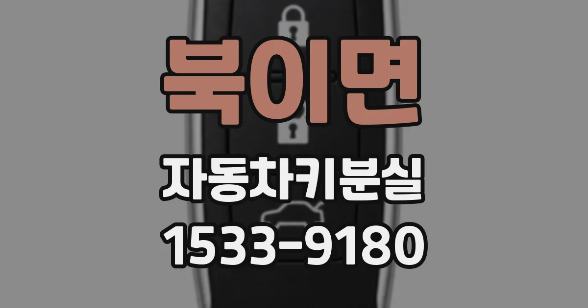 북이면 자동차키분실