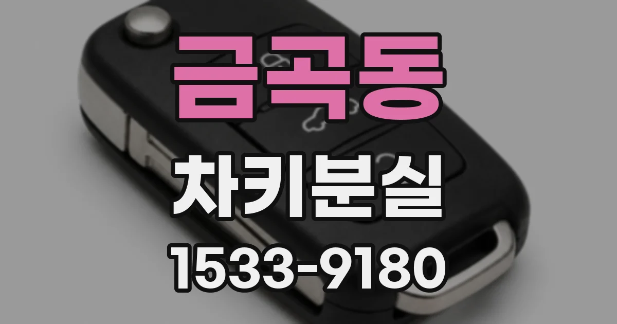 금곡동 차키분실