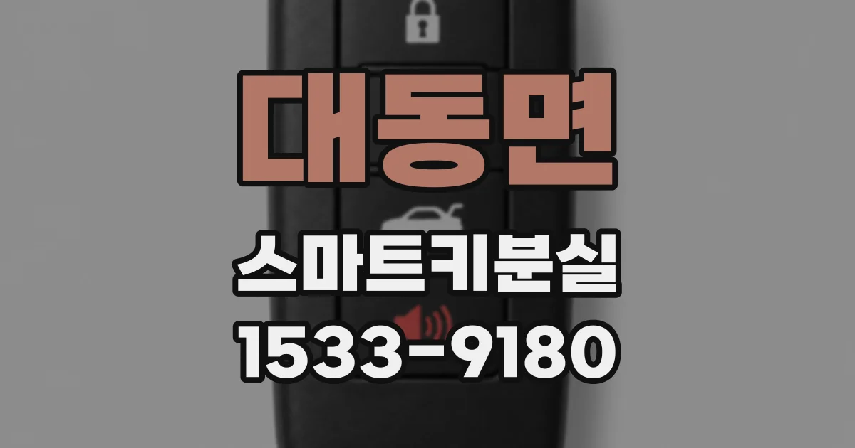 대동면 스마트키분실