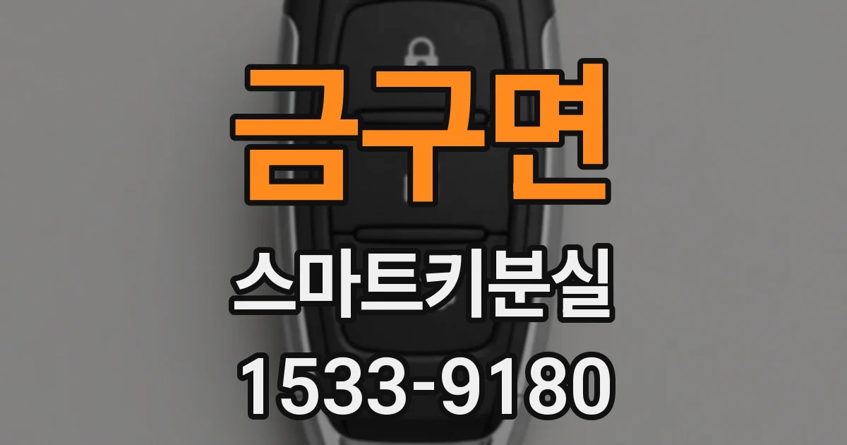 금구면 스마트키분실