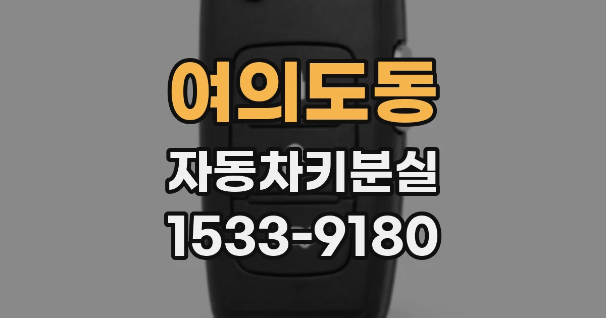여의도동 자동차키분실