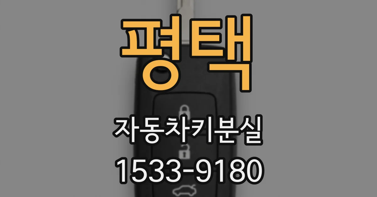 평택 자동차키분실