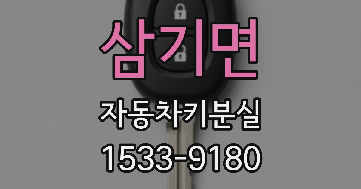삼기면 자동차키분실