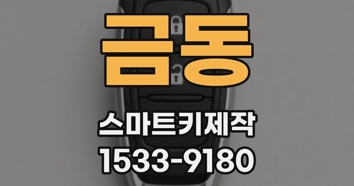 금동 스마트키제작