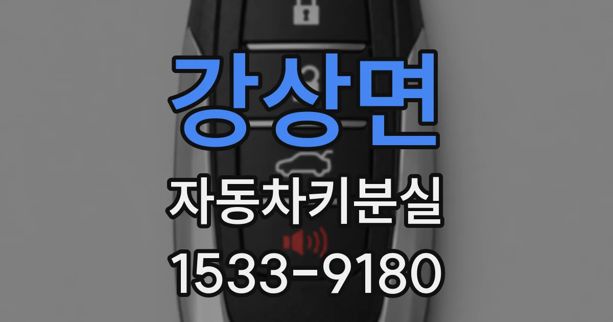 강상면 자동차키분실