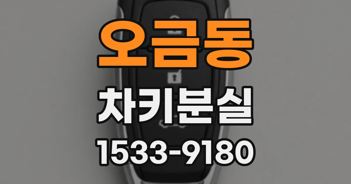 오금동 차키분실