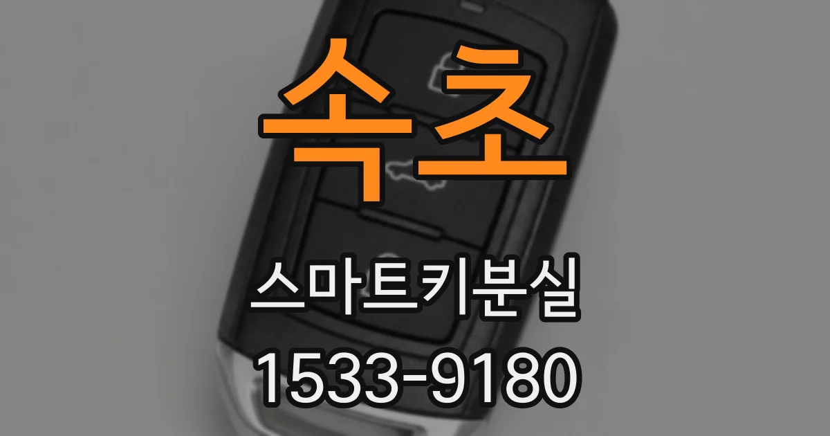 속초 스마트키분실