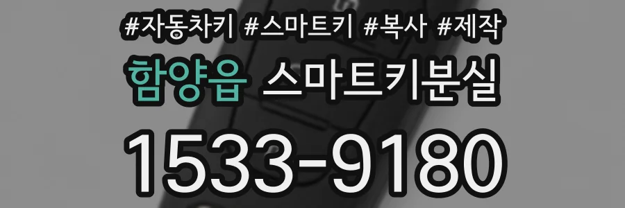 함양읍 스마트키분실