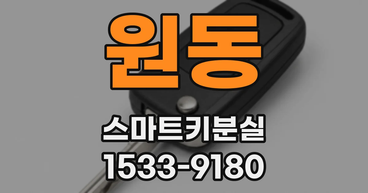 원동 스마트키분실