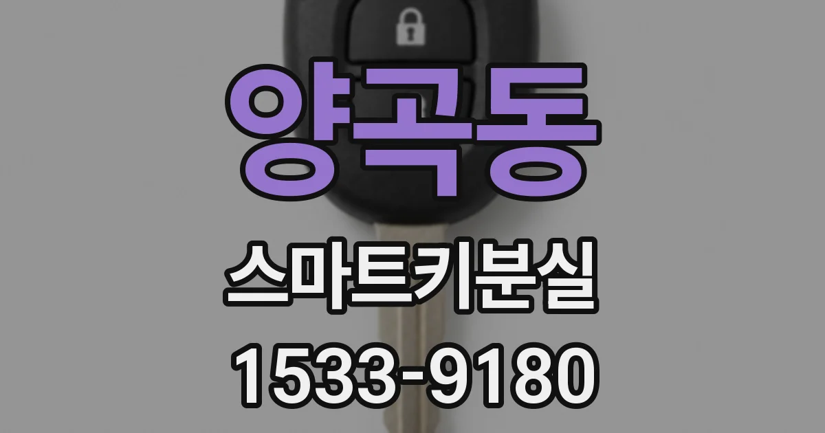 양곡동 스마트키분실