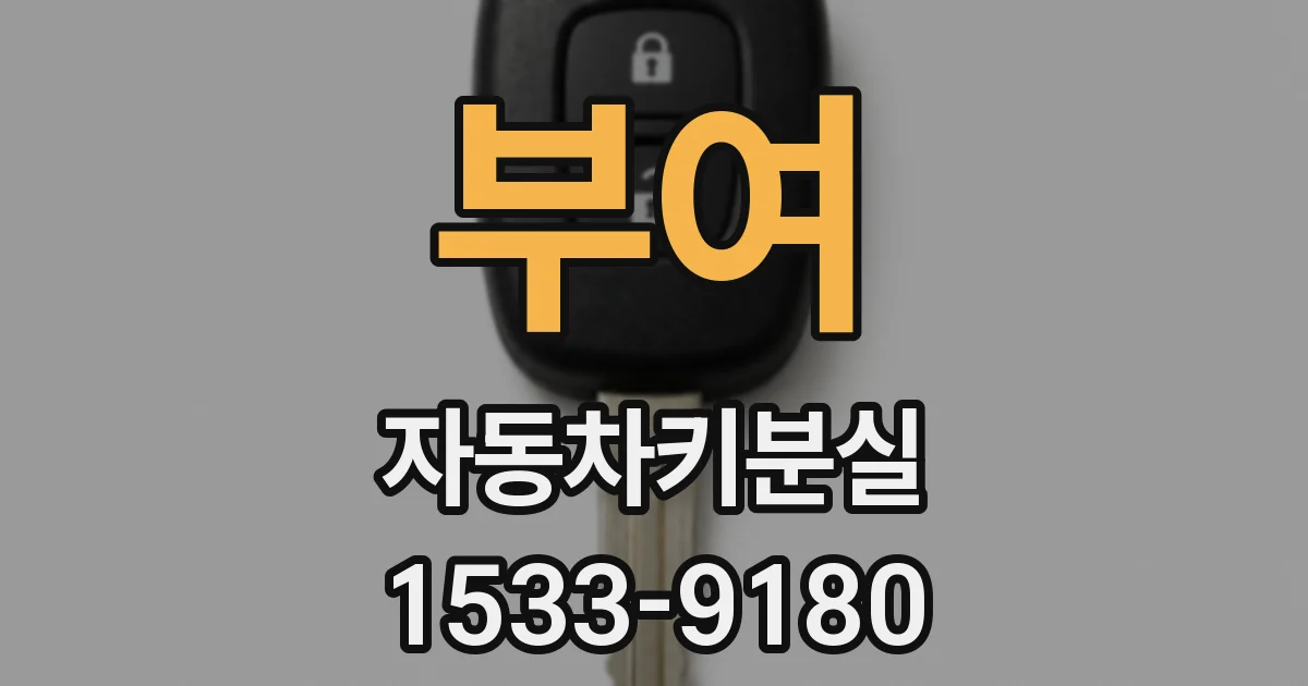 부여 자동차키분실