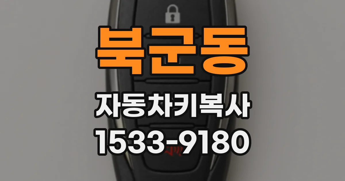 북군동 자동차키복사