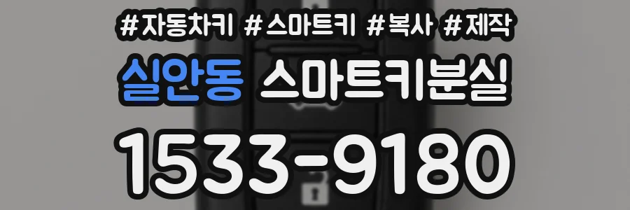 실안동 스마트키분실