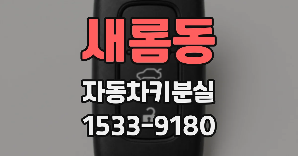 새롬동 자동차키분실