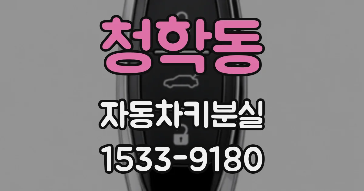 청학동 자동차키분실