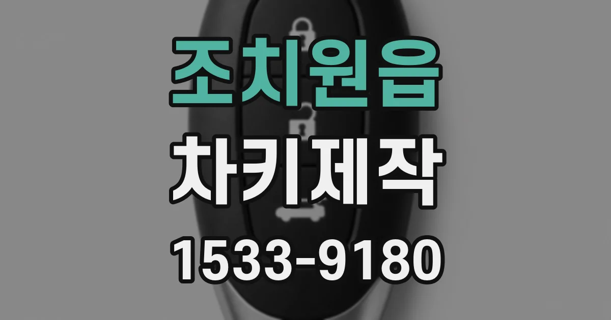 조치원읍 차키제작