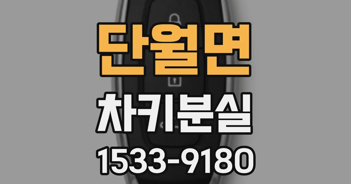 단월면 차키분실