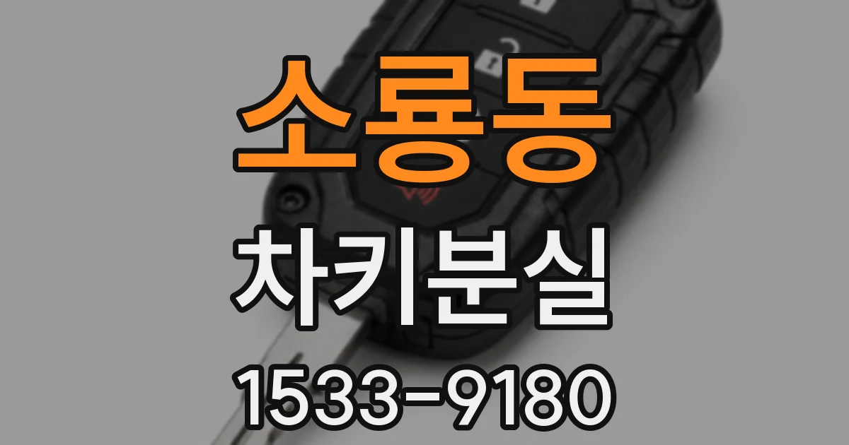 소룡동 차키분실