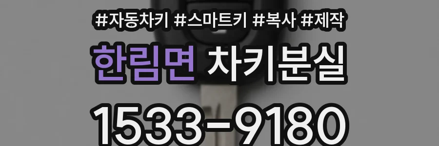 한림면 차키분실
