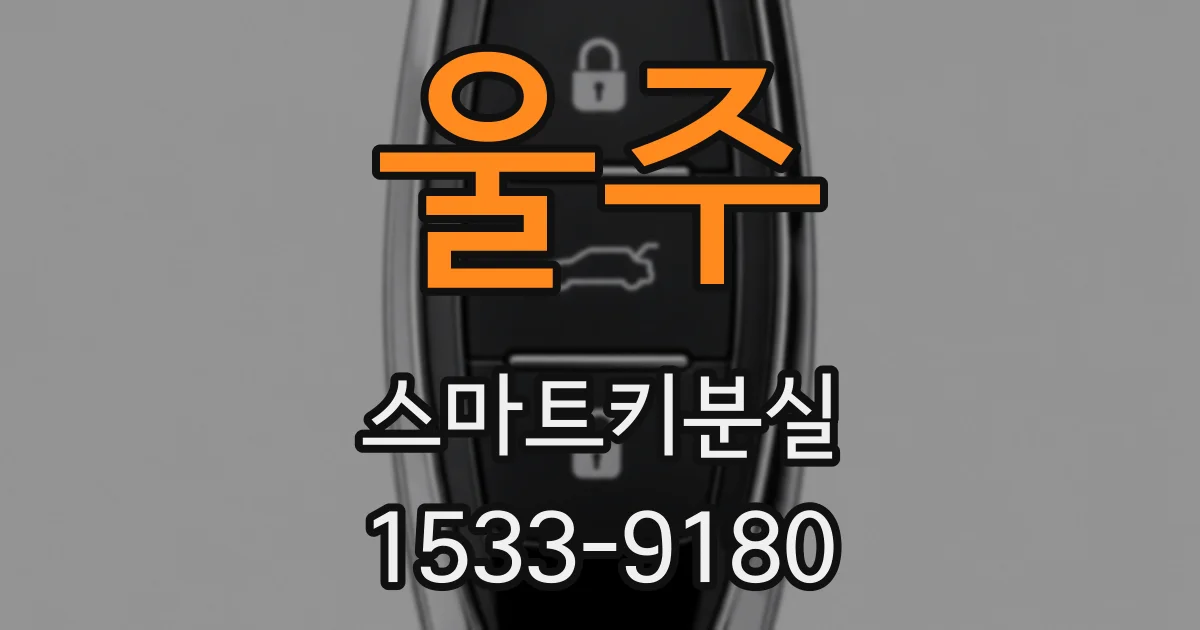 울주 스마트키분실