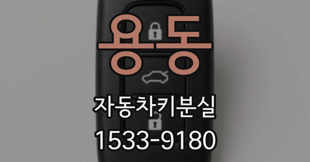 용동 자동차키분실