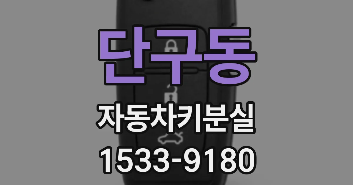 단구동 자동차키분실