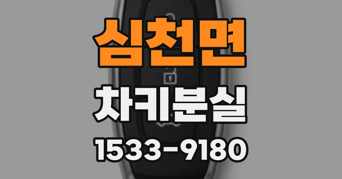 심천면 차키분실