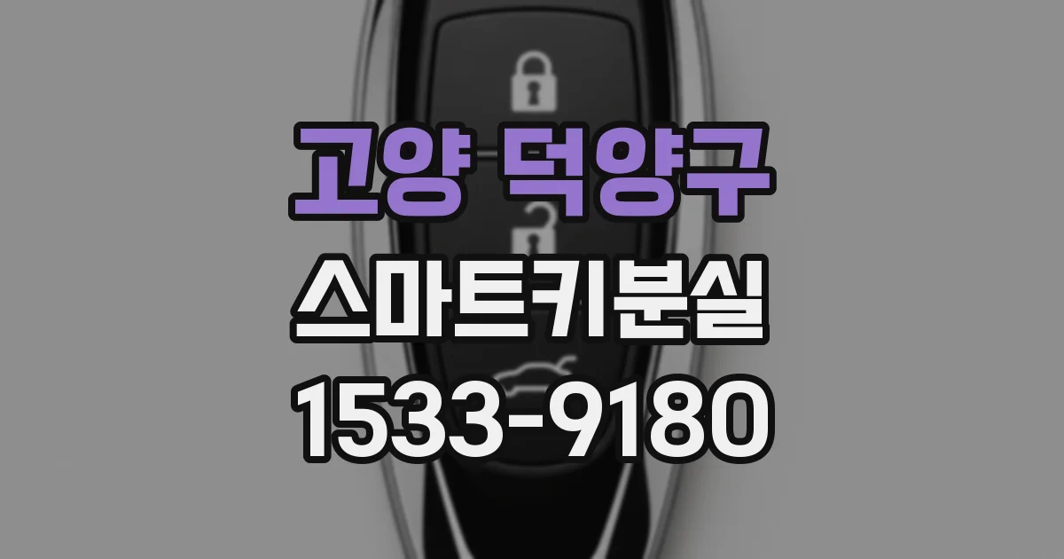 고양 덕양구 스마트키분실