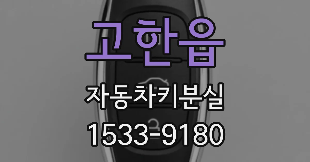 고한읍 자동차키분실
