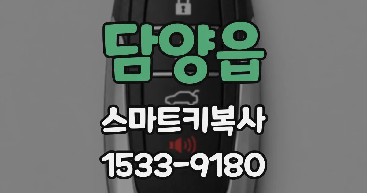 담양읍 스마트키복사
