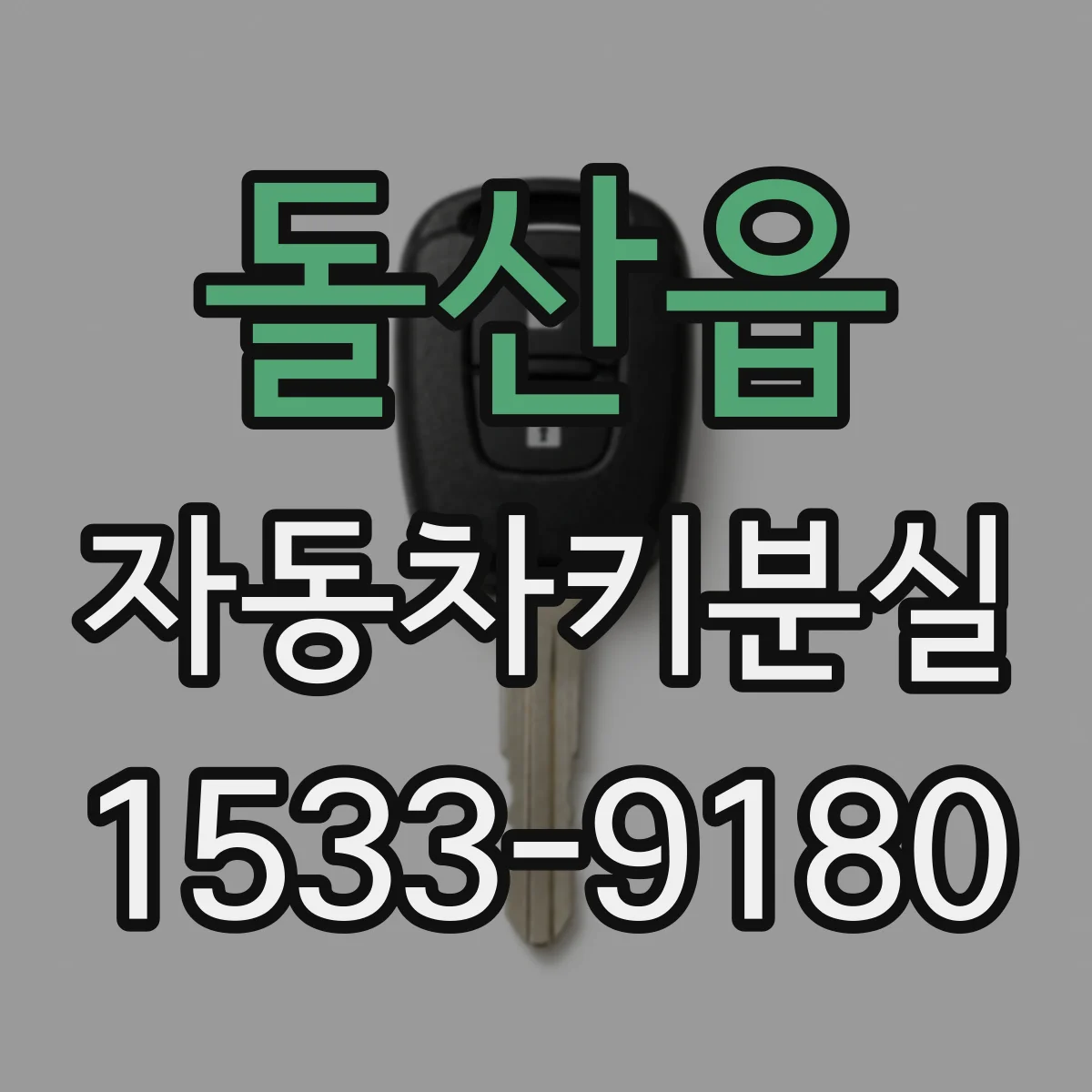 돌산읍 자동차키분실