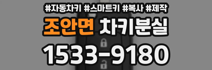 조안면 차키분실