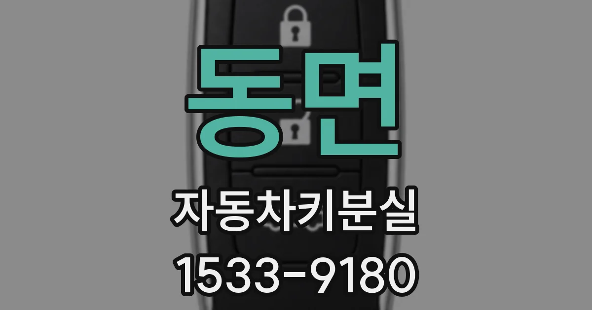 동면 자동차키분실