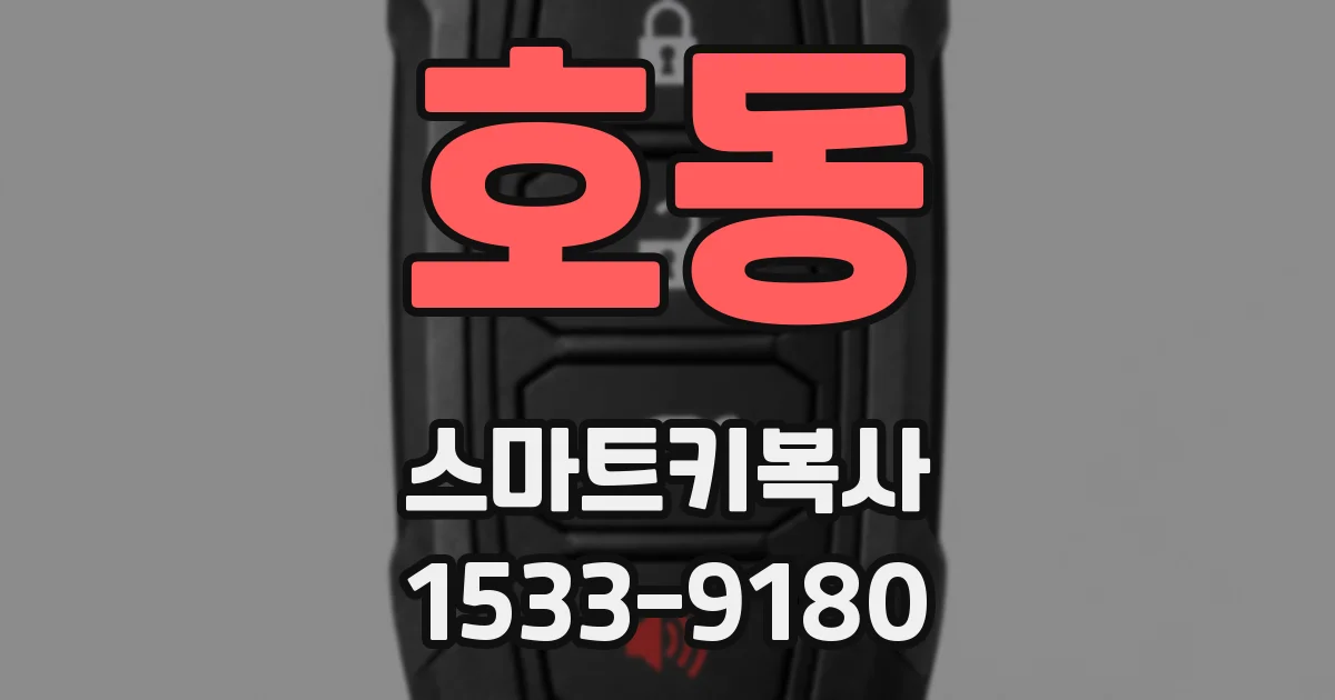 호동 스마트키복사