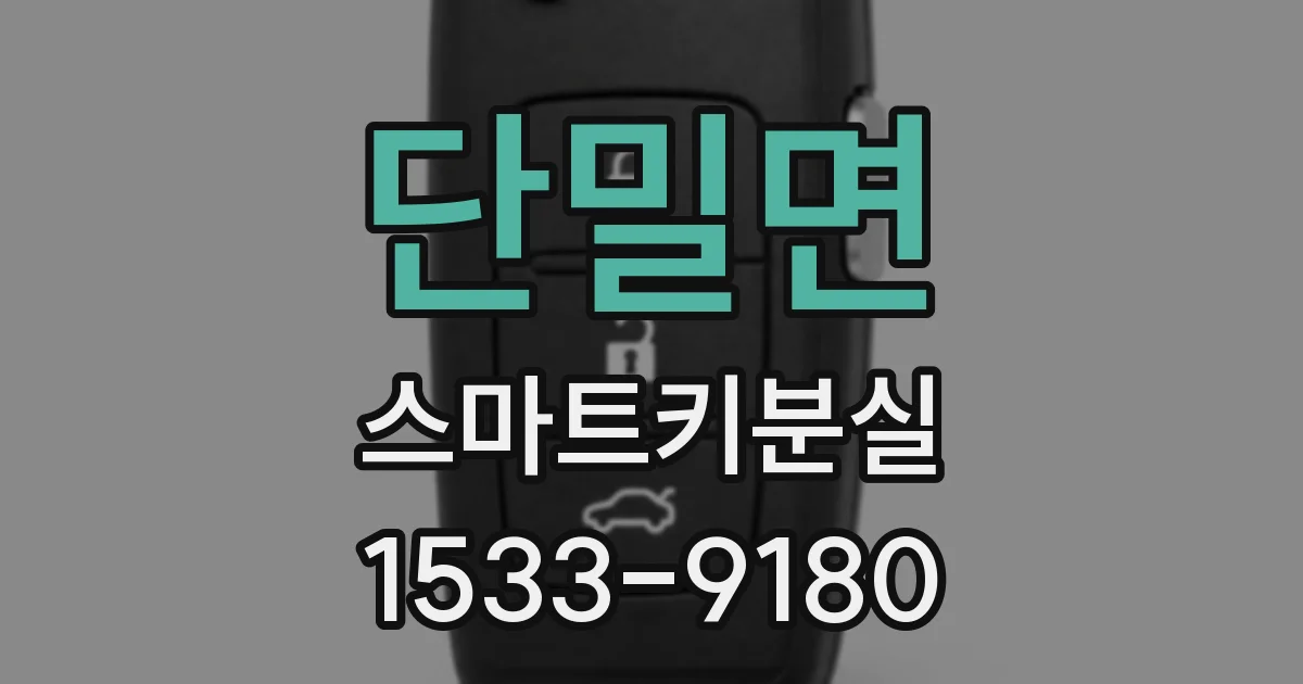 단밀면 스마트키분실
