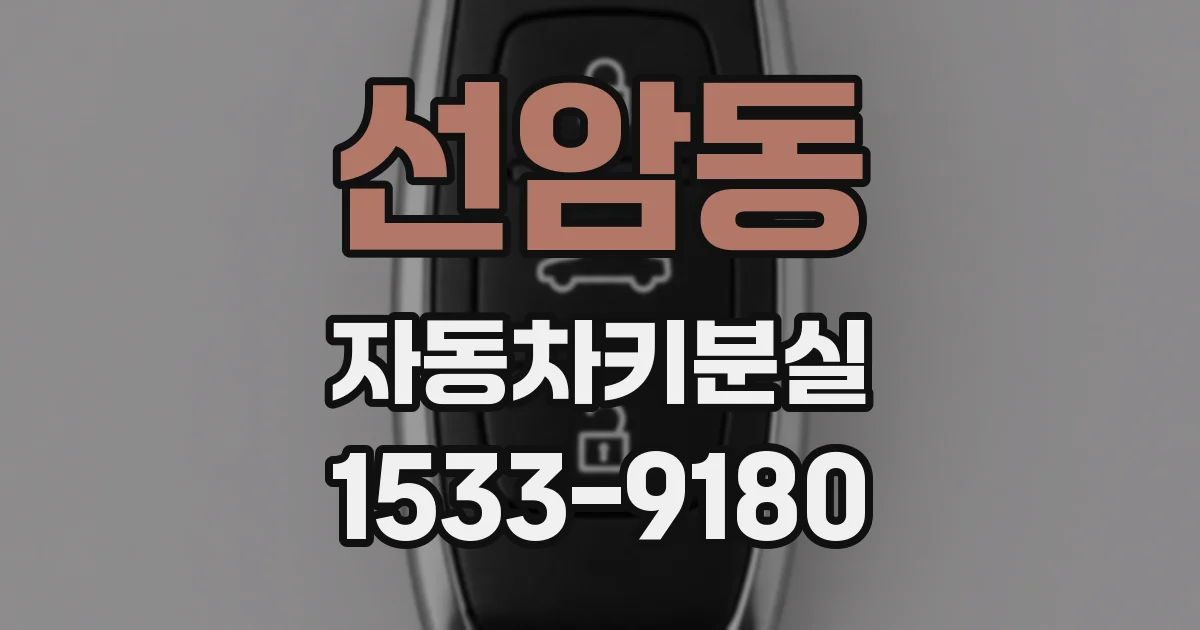 선암동 자동차키분실