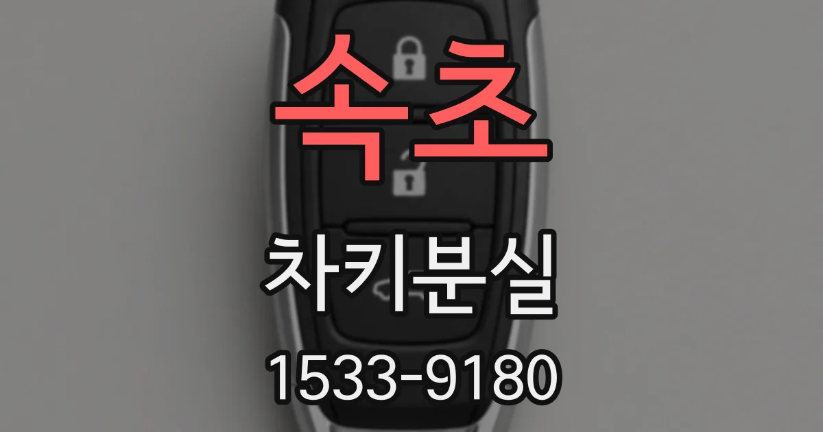 속초 차키분실