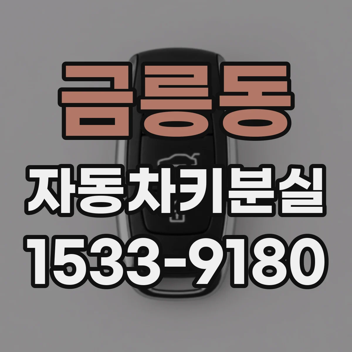 금릉동 자동차키분실