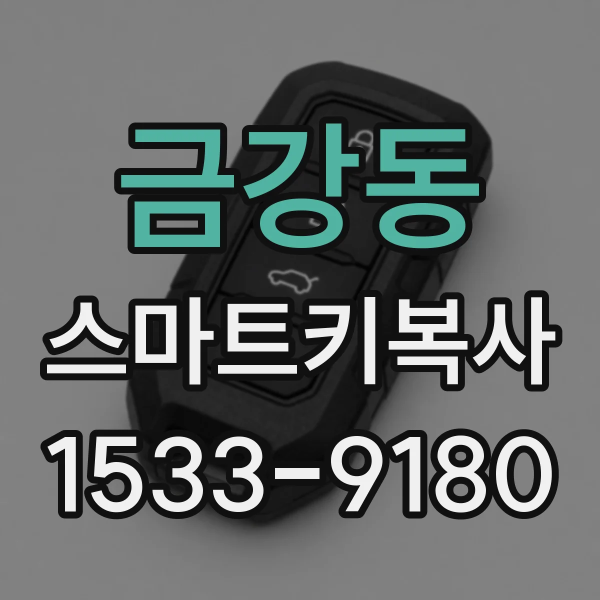 금강동 스마트키복사