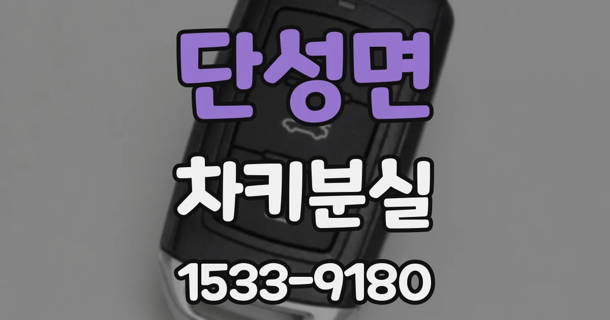단성면 차키분실
