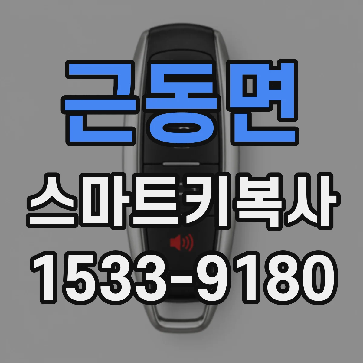 근동면 스마트키복사