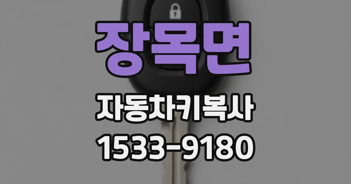 장목면 자동차키복사