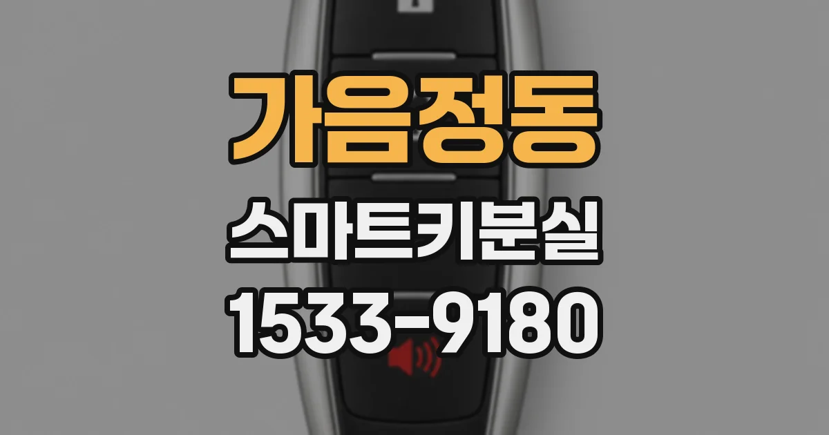 가음정동 스마트키분실