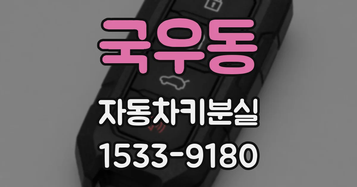 국우동 자동차키분실