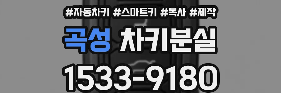 곡성 차키분실