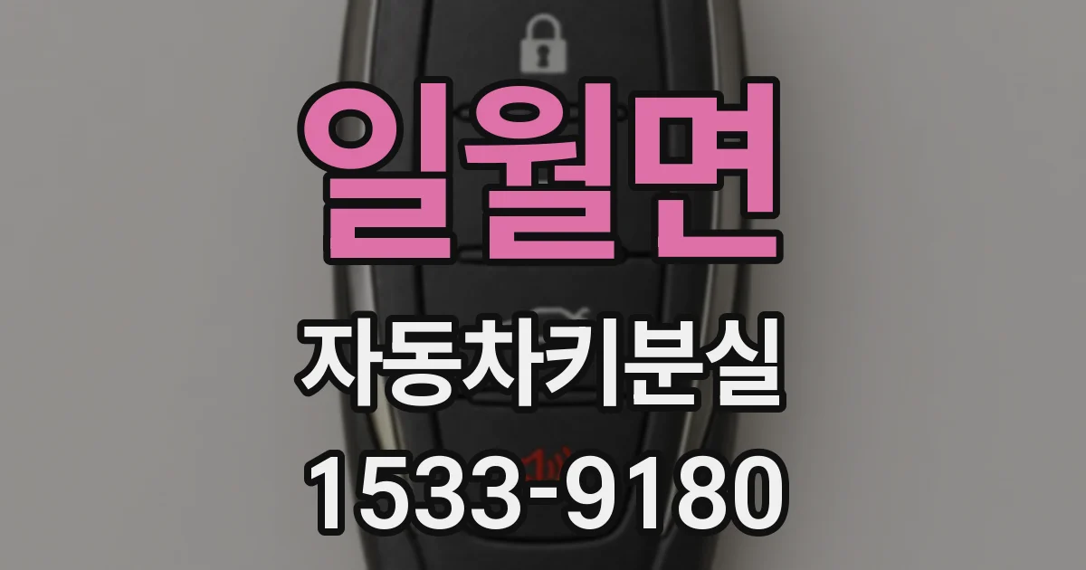 일월면 자동차키분실