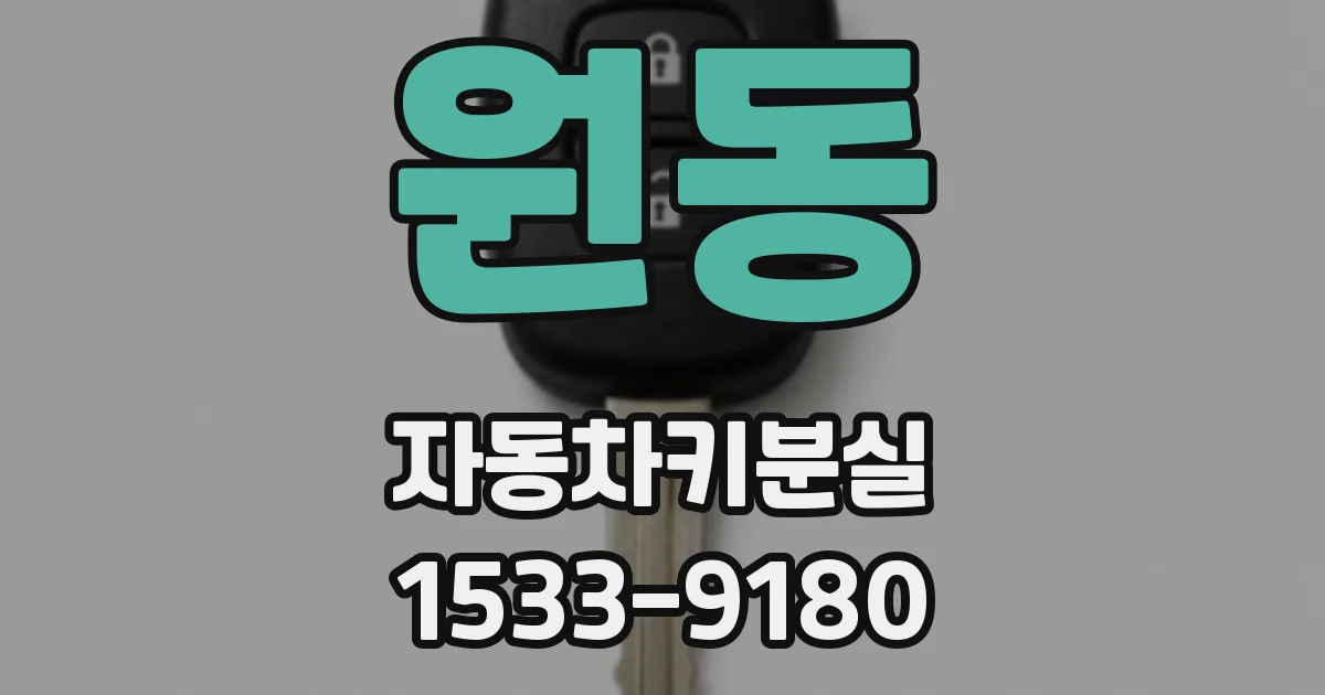 원동 자동차키분실