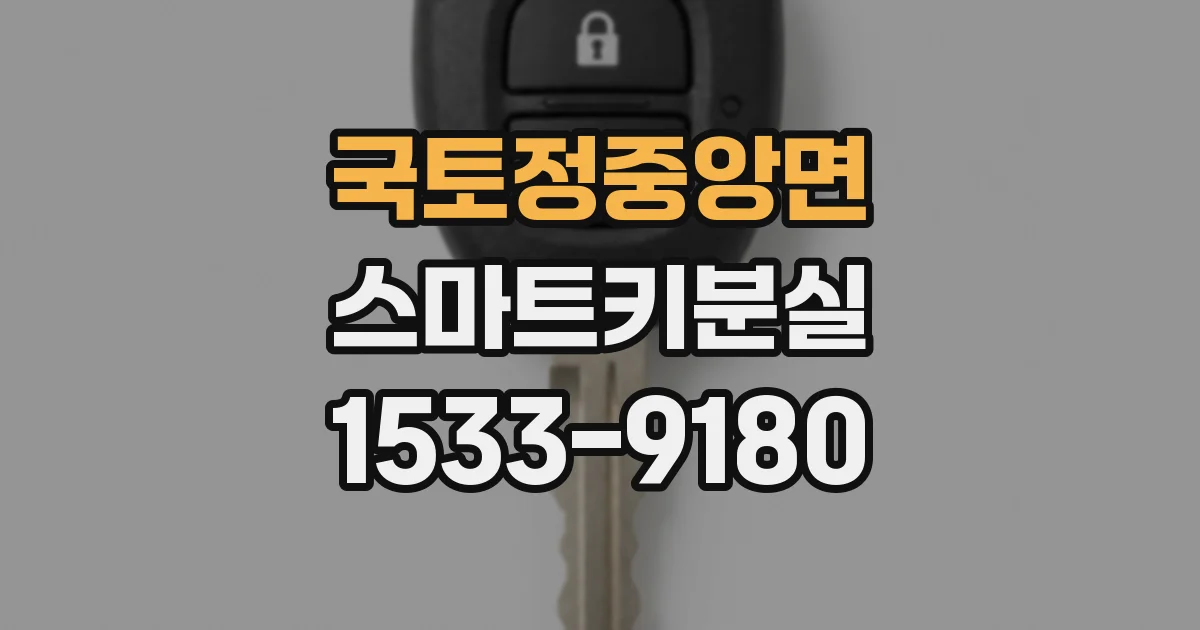 국토정중앙면 스마트키분실