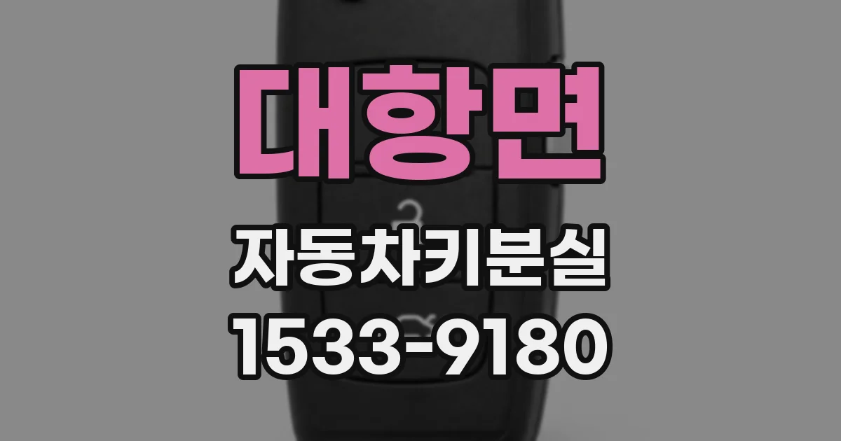 대항면 자동차키분실