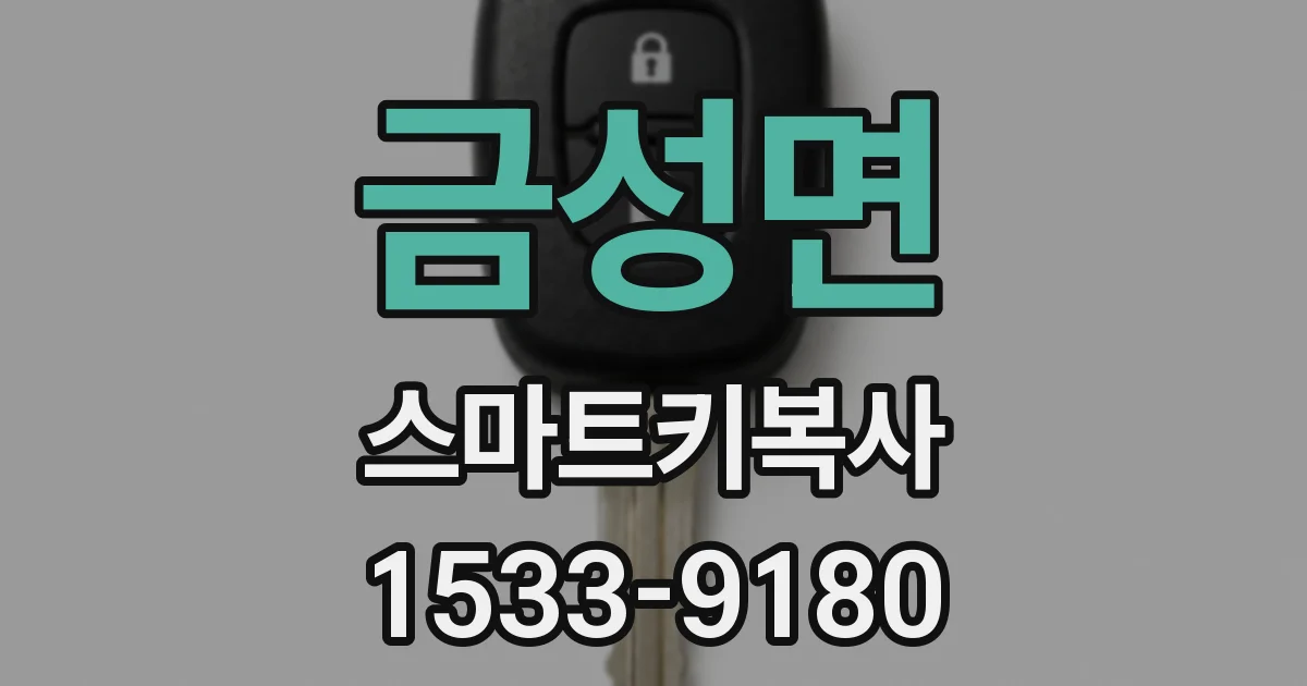 금성면 스마트키복사